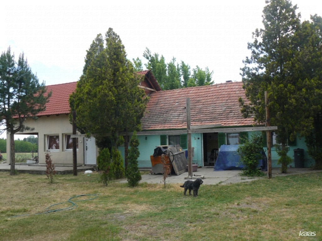 Ingatlan #1292