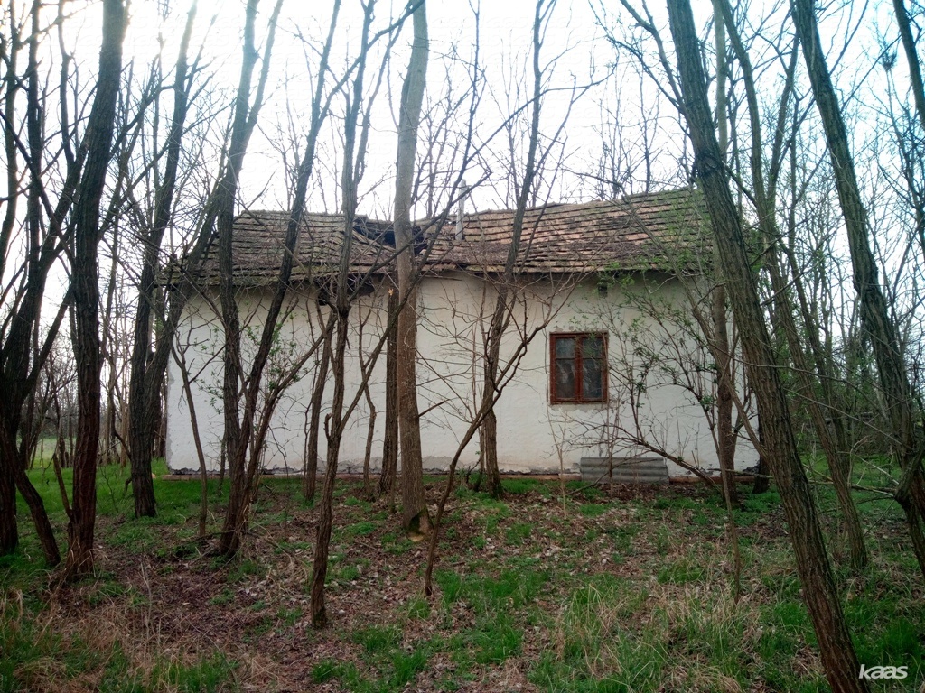 Ingatlan #3003 - 3