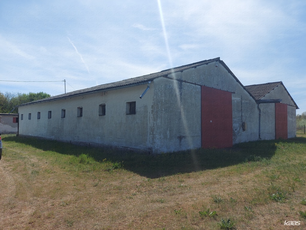 Ingatlan #3043 - 4