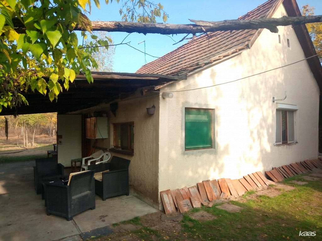 Ingatlan #3184